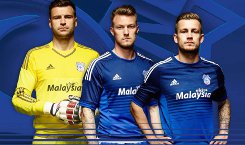 cardiff-city-voetbalshirt-2015-2016.jpg (1)