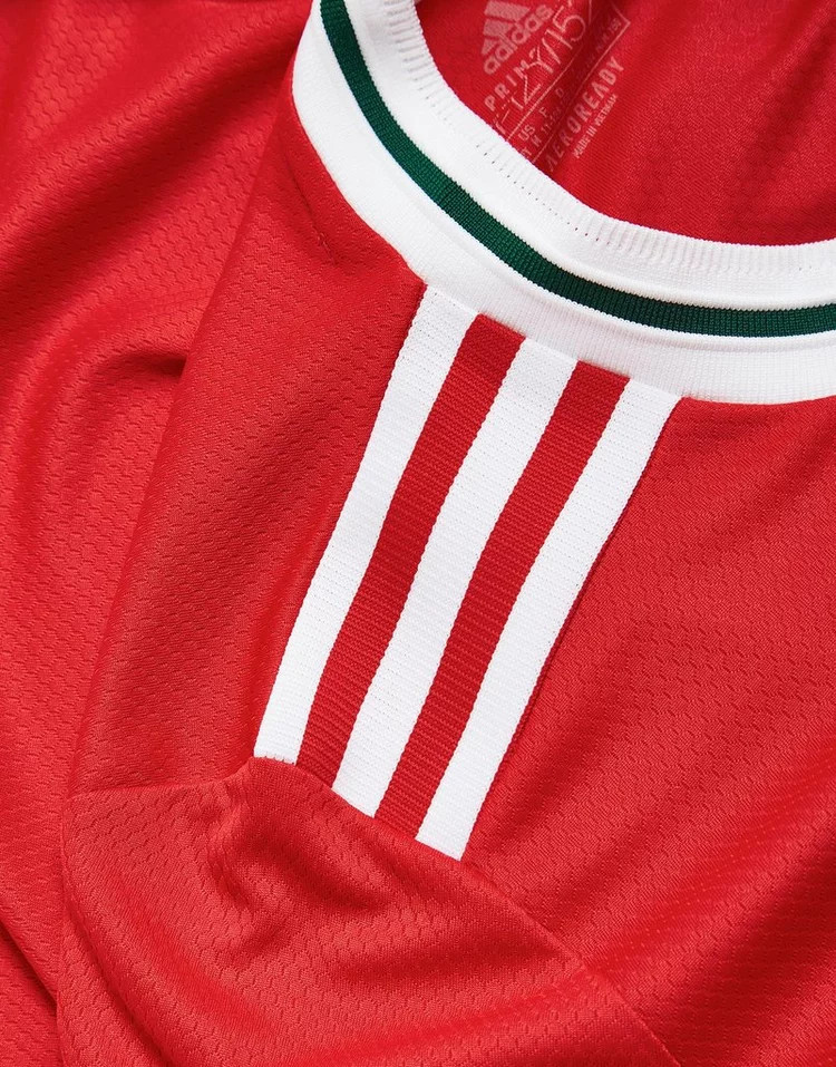 Vrouwen voetbalshirt Wales 2022-2023