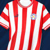 paraguay-voetbalshirt-puma-2022-23.jpg