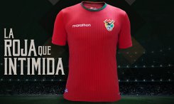bolivia-uitshirt-2016-2017-detail.jpg