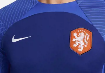 nederlands-elftal-training-shirt-2022-2023.jpg