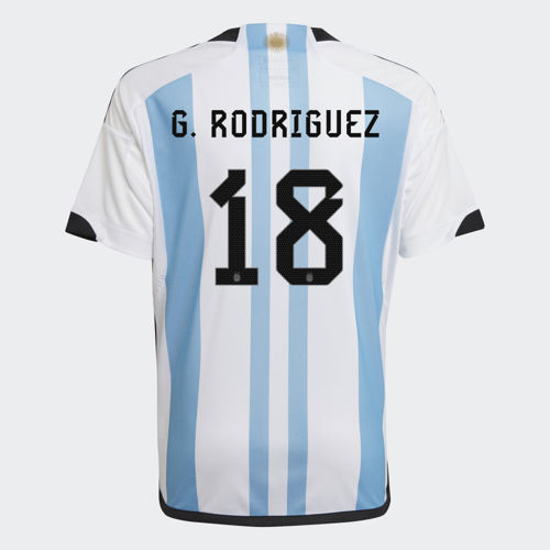 serie duisternis indruk Argentinië Voetbalshirt - Voetbalshirts.com