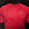 denemarken-wk-voetbalshirts-2022.jpg