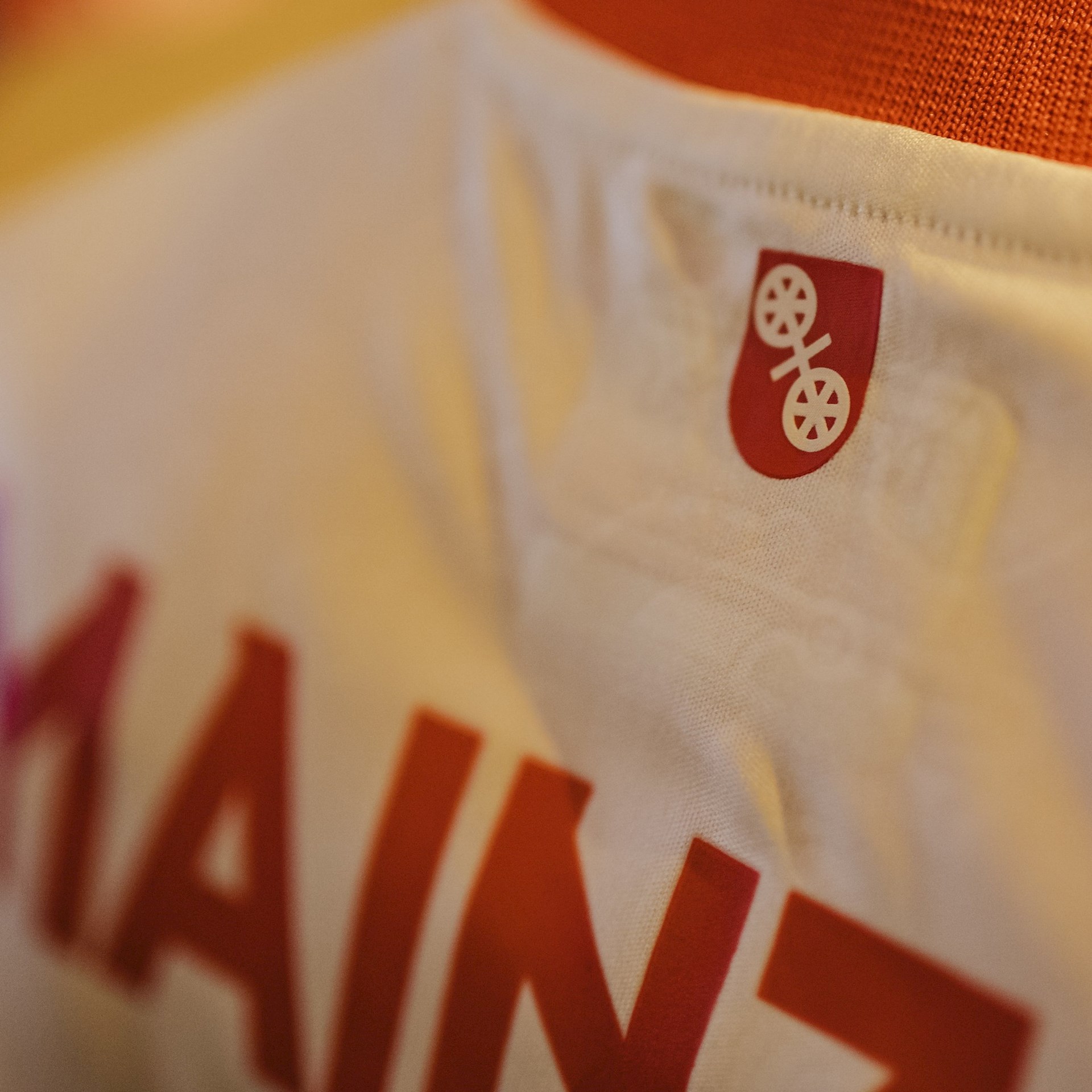 Details FSV Mainz Carnavalsvoetbalshirt 2023