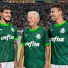 palmeiras-voetbalshirts-2023-2024.jpeg