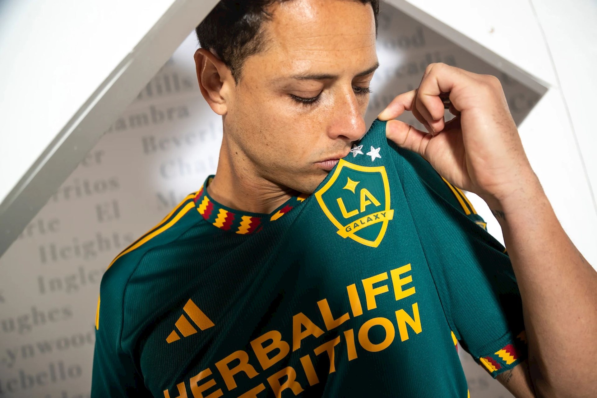la-galaxy-uitshirt-2023-2024-d.jpg