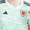 wales-vrouwen-voetbalshirts-2023-2024.jpg