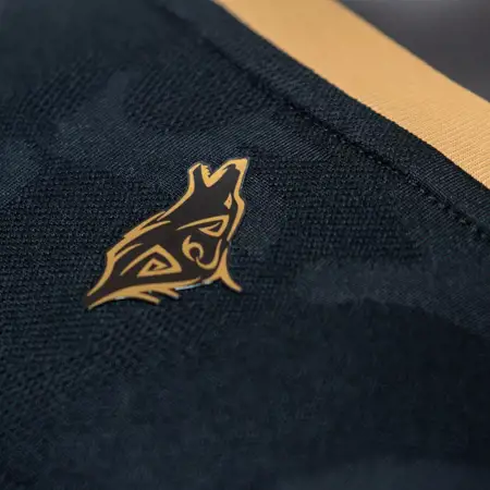 Dit zijn de Al Sadd voetbalshirts 2024-2025