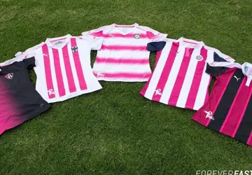 roze-shirts-mexico-2016-2017.png