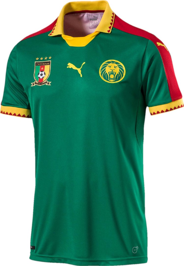 Kameroen Afrika Cup Thuisshirt 2017