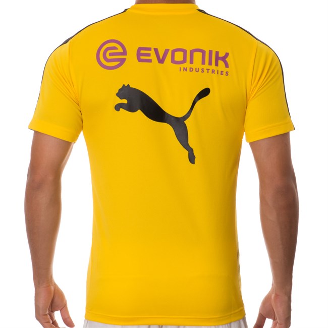 Dortmund -training -shirt -2017