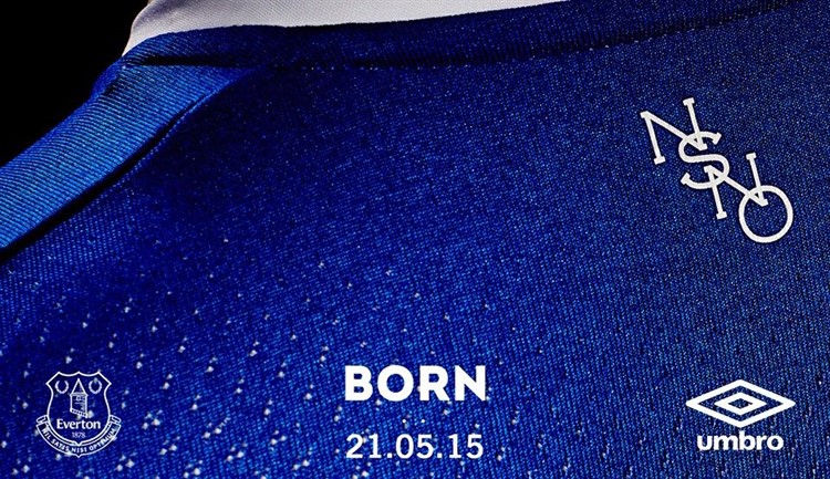 Everton -thuisshirt -2015-2016-detail