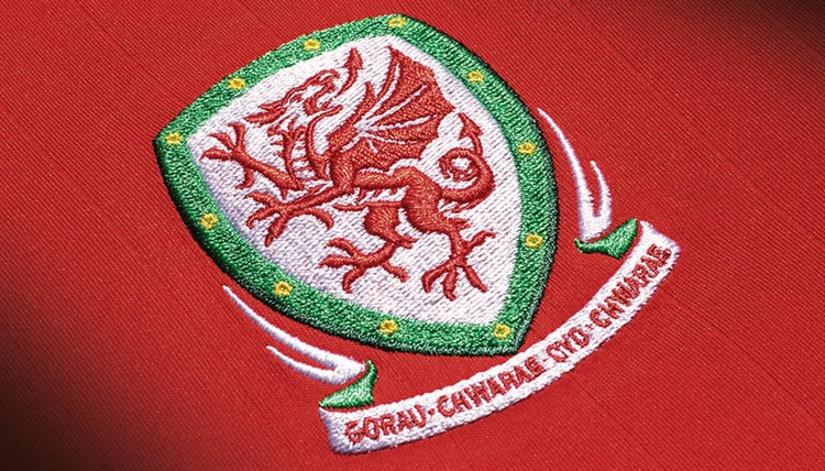 Logo -Wales -voetbalshirt -2016-2017