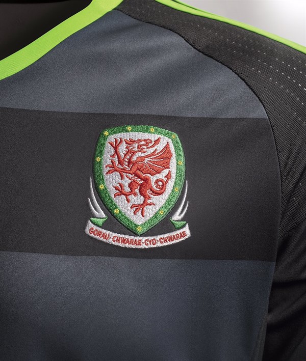 Wales -uitshirt -detail -2016