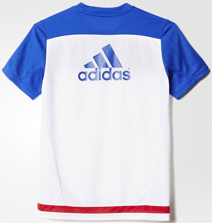 Chelsea Trainingsshirt 2015-2016 2