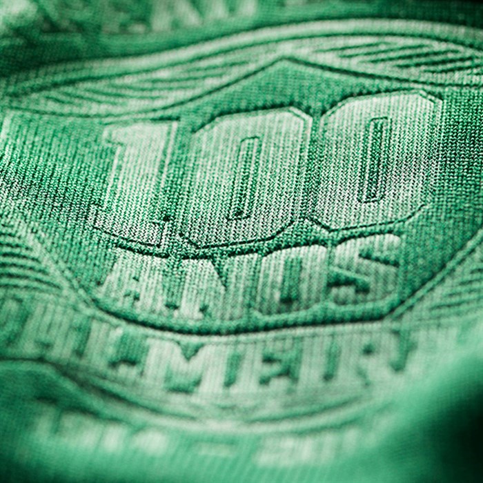 Palmeiras 2014 Thuisshirt 1