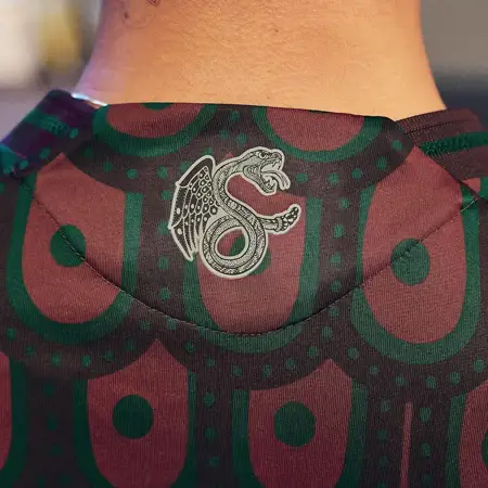 Mexico thuisshirt 2024-2025 geïnspireerd door adelaar!