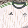 Noord Ierland Uitshirt 2025 2026 C