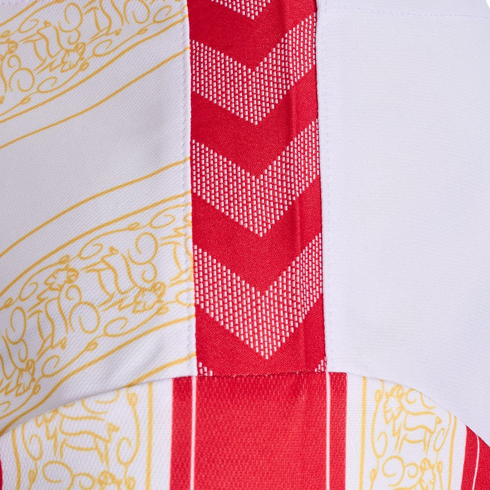 Dit is het FC Köln carnaval voetbalshirt 2023-2024