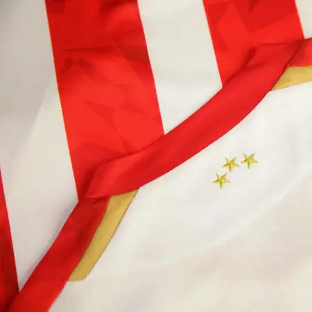 Dit zijn de Rode Ster Belgrado voetbalshirts 2024-2025