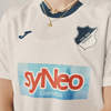 Hoffenheim 3E Shirt 2025 2026 D