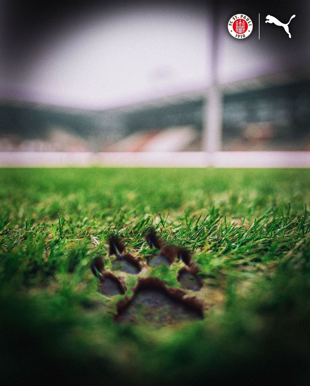 Puma kledingsponsor FC Sankt Pauli vanaf 2024-2025