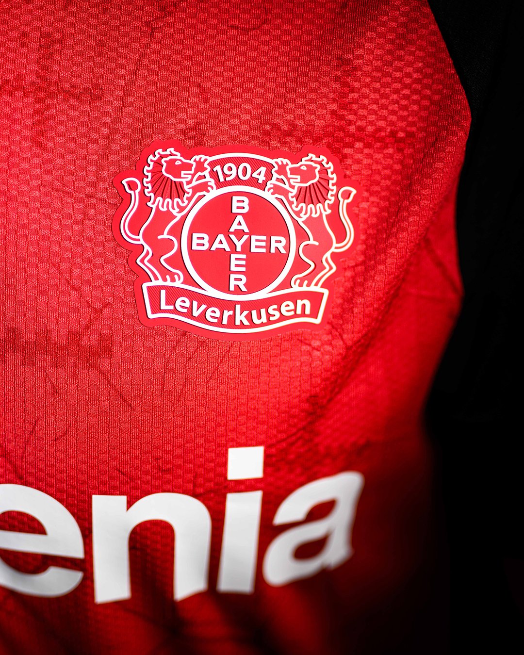 Bayer Leverkusen voetbalshirts 2024-2025 in stijl stad