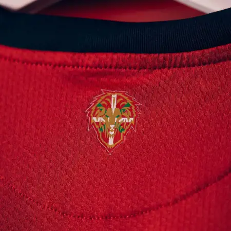 Dit zijn de Athletic Bilbao voetbalshirts 2024-2025