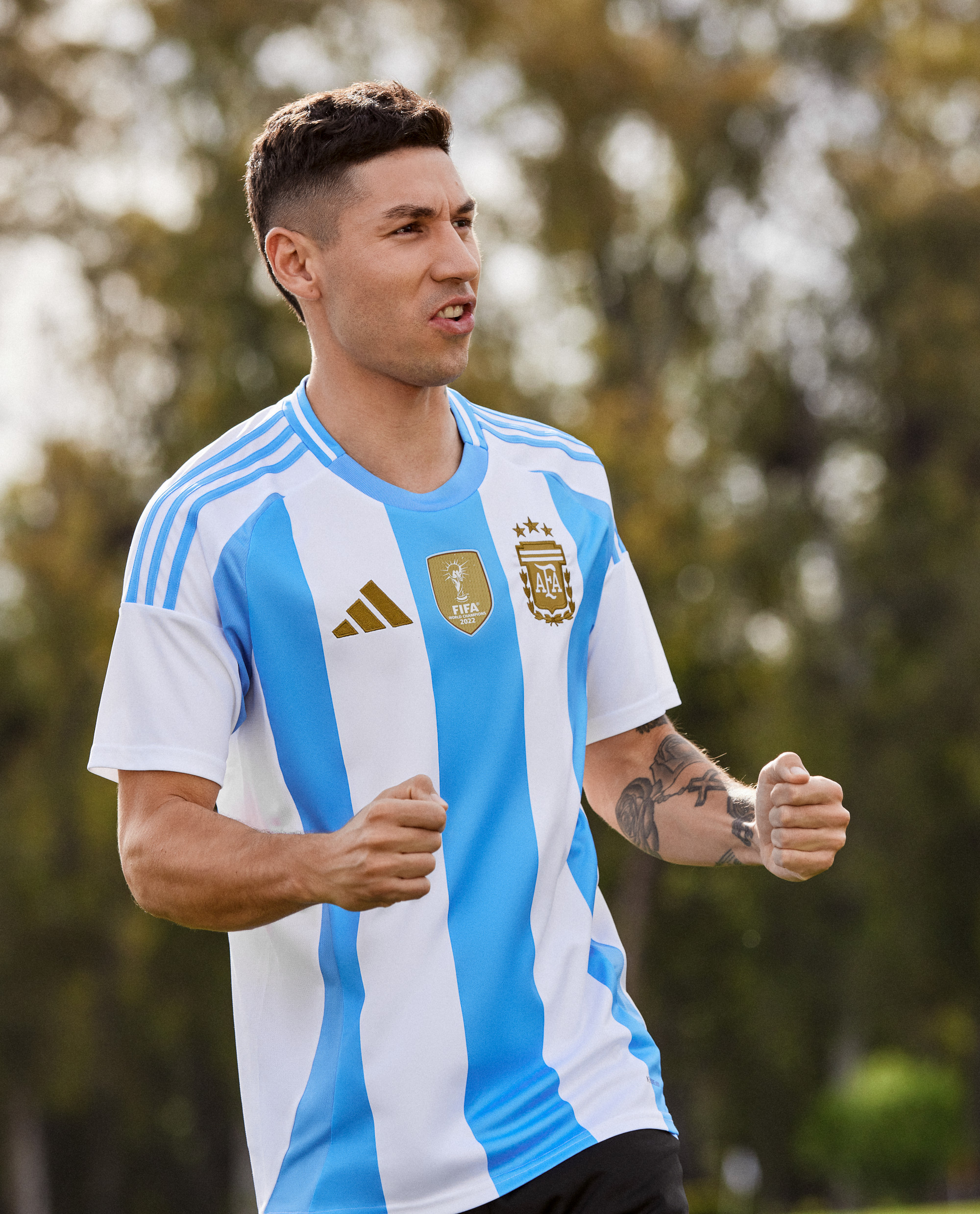 Argentinië thuisshirt 2024-2025 ode aan wereldkampioenschap! 