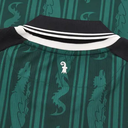 Dit zijn de FC Basel voetbalshirts 2024-2025