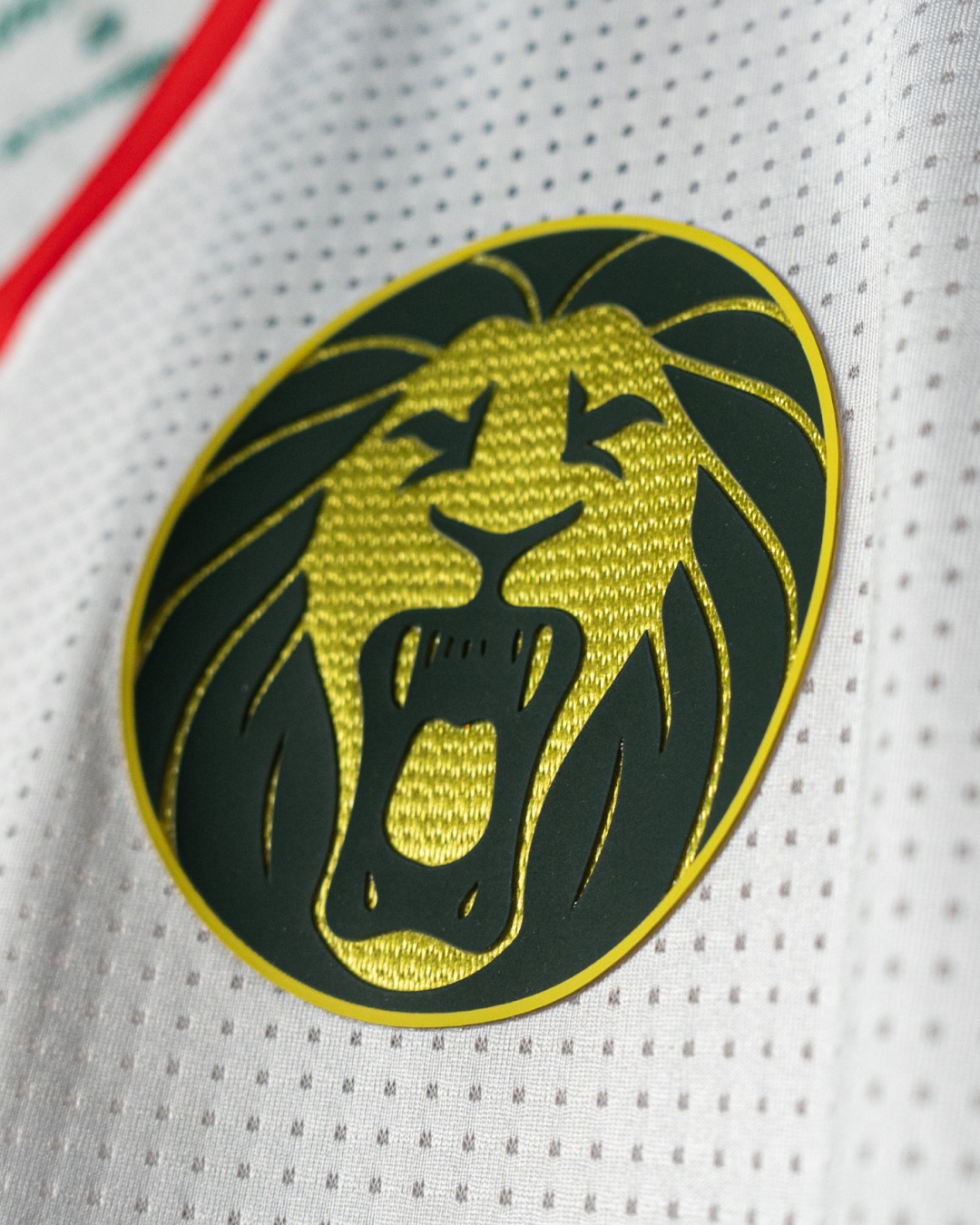 Dit zijn de Kameroen voetbalshirts 2025-2026