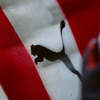 Psv En Puma Verlengen Contract Tot 2030