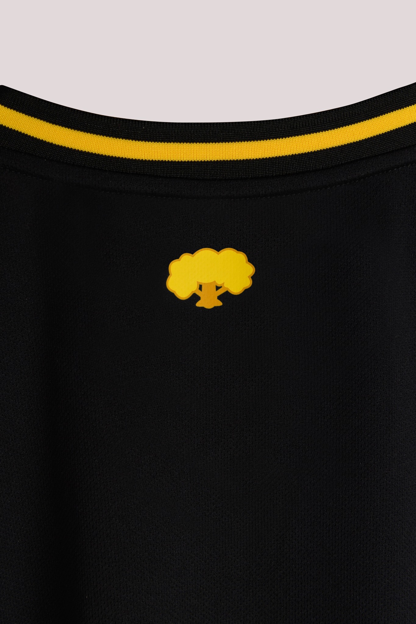 Southampton FC voetbalshirts 2023-2024