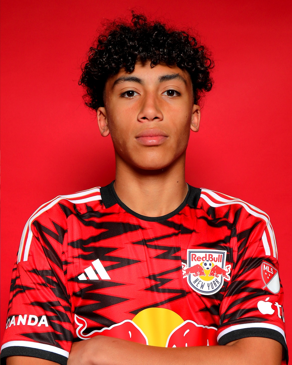 New York Red Bulls thuisshirt 2024-2025 eerbetoon aan New York