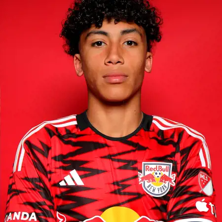 New York Red Bulls thuisshirt 2024-2025 eerbetoon aan New York