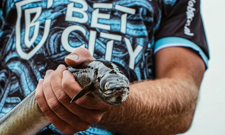 FC Volendam uitshirt 2023-2024