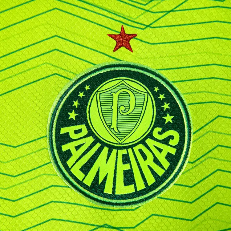 Palmeiras voetbalshirts 2023-2024