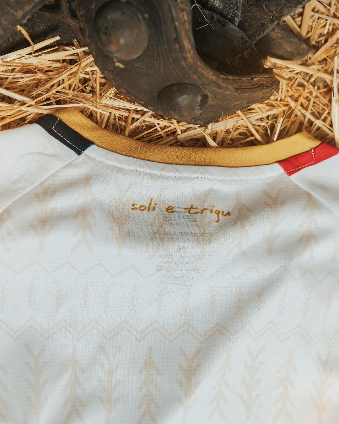 Dit zijn de Cagliari Calcio voetbalshirts 2024-2025