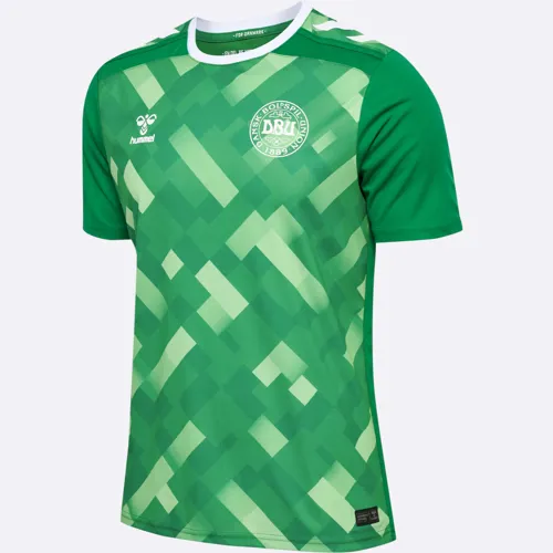 Denemarken keepersshirt 2024-2025 - Groen