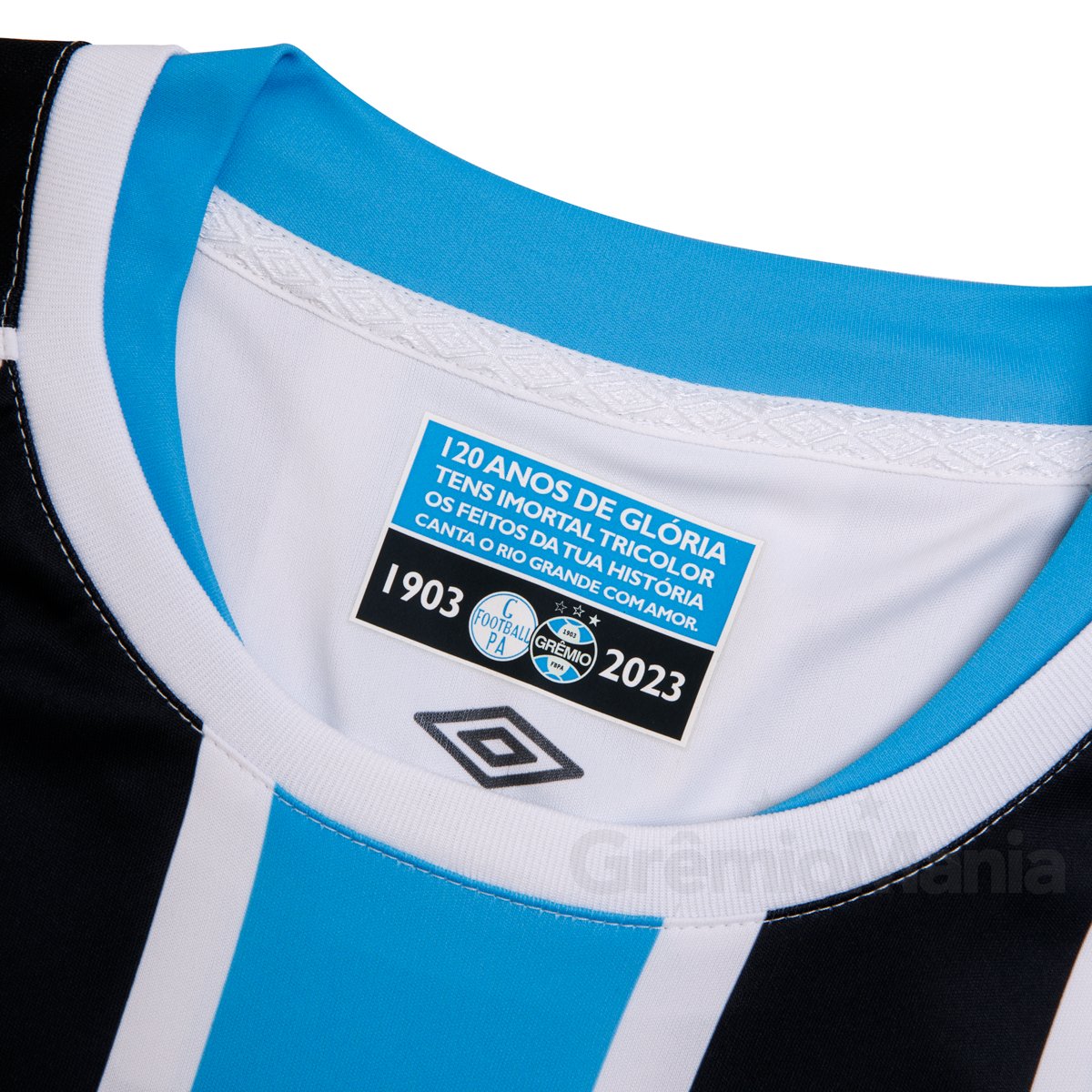 Detail Gremio thuisshirt 2023-2024