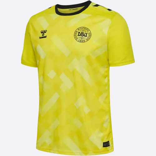 Denemarken keepersshirt 2024-2025 - Geel