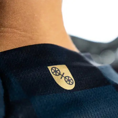 FSV Mainz voetbalshirts 2023-2024