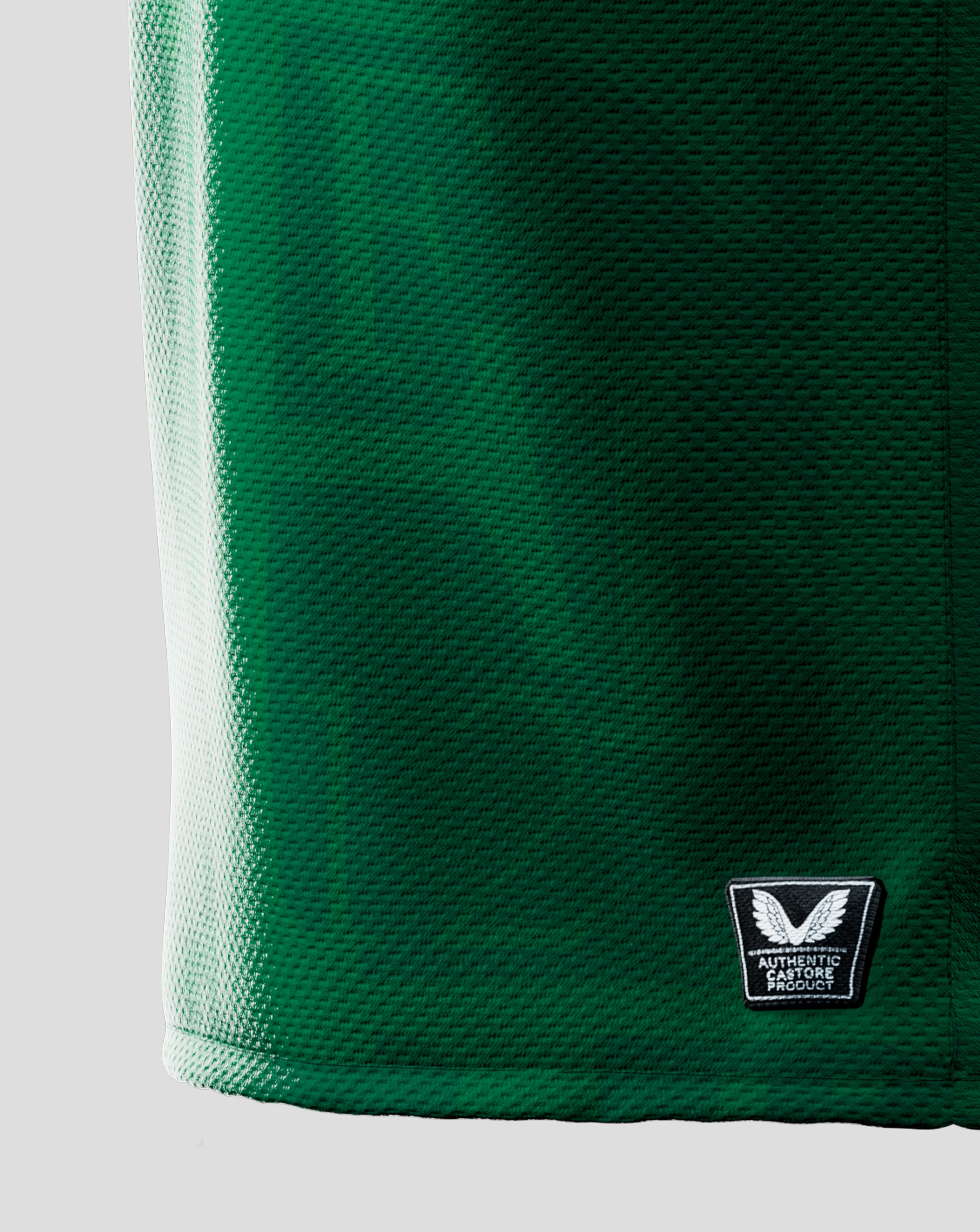 Feyenoord 4e shirt 2025-2026 omgedoopt tot Het Twaalfde Shirt