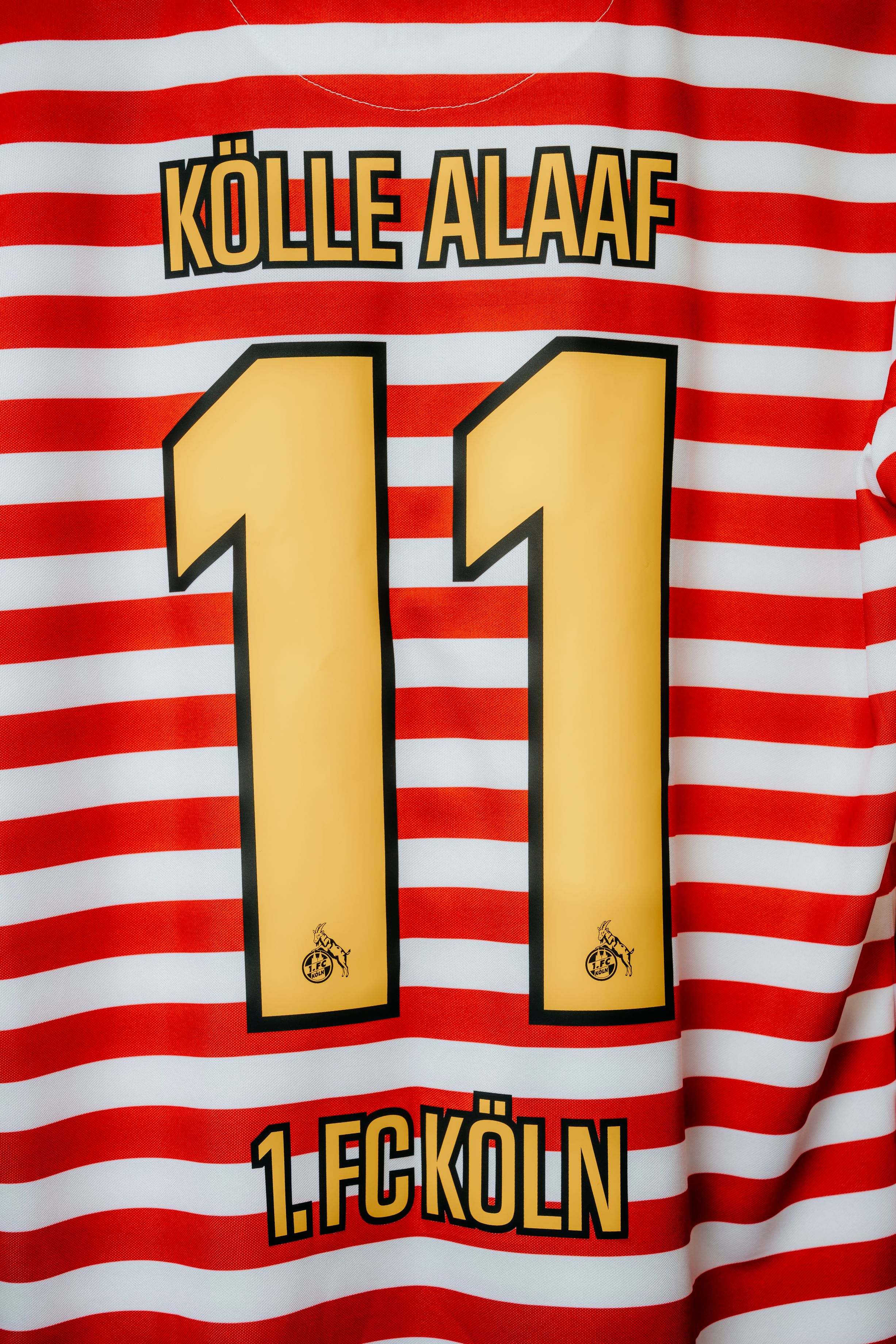 Dit is het FC Köln carnavalsshirt 2025-2026