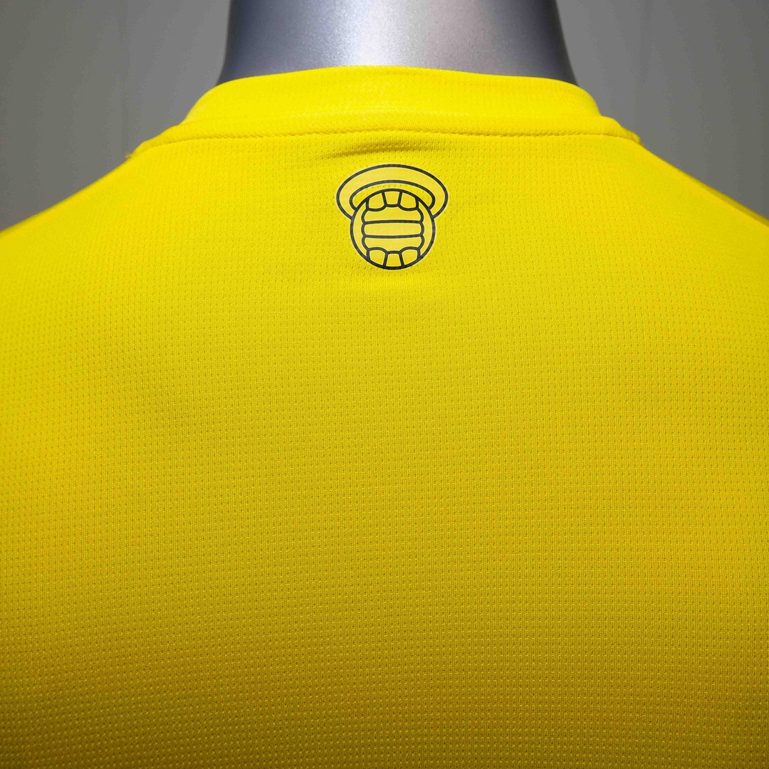 Southampton FC voetbalshirts 2025-2026 geïnspireerd door shirts jaren '70 en '90