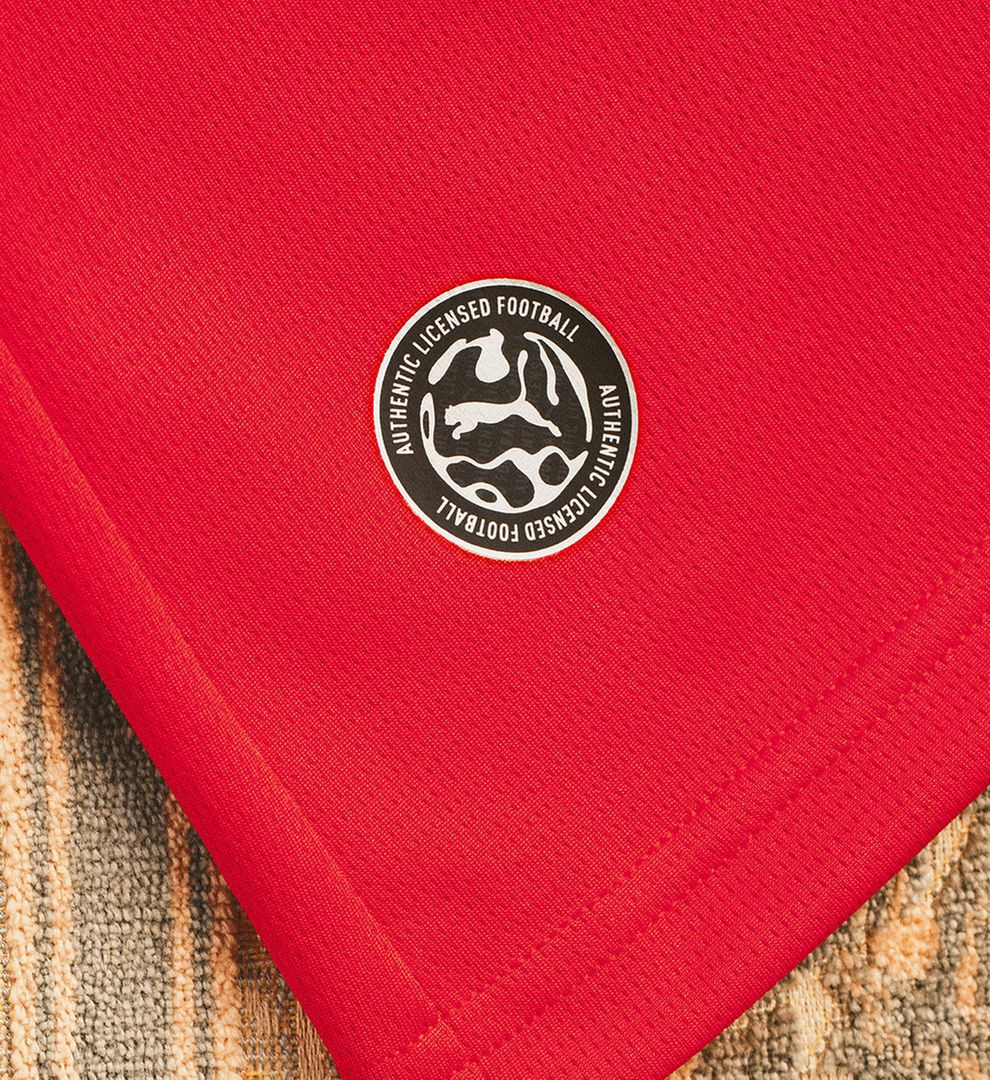 Oostenrijk WK 2026 ode aan band met supporters