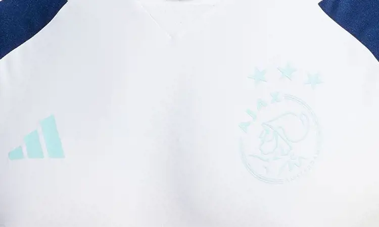 Dit is het Ajax trainingsshirt 2023-2024