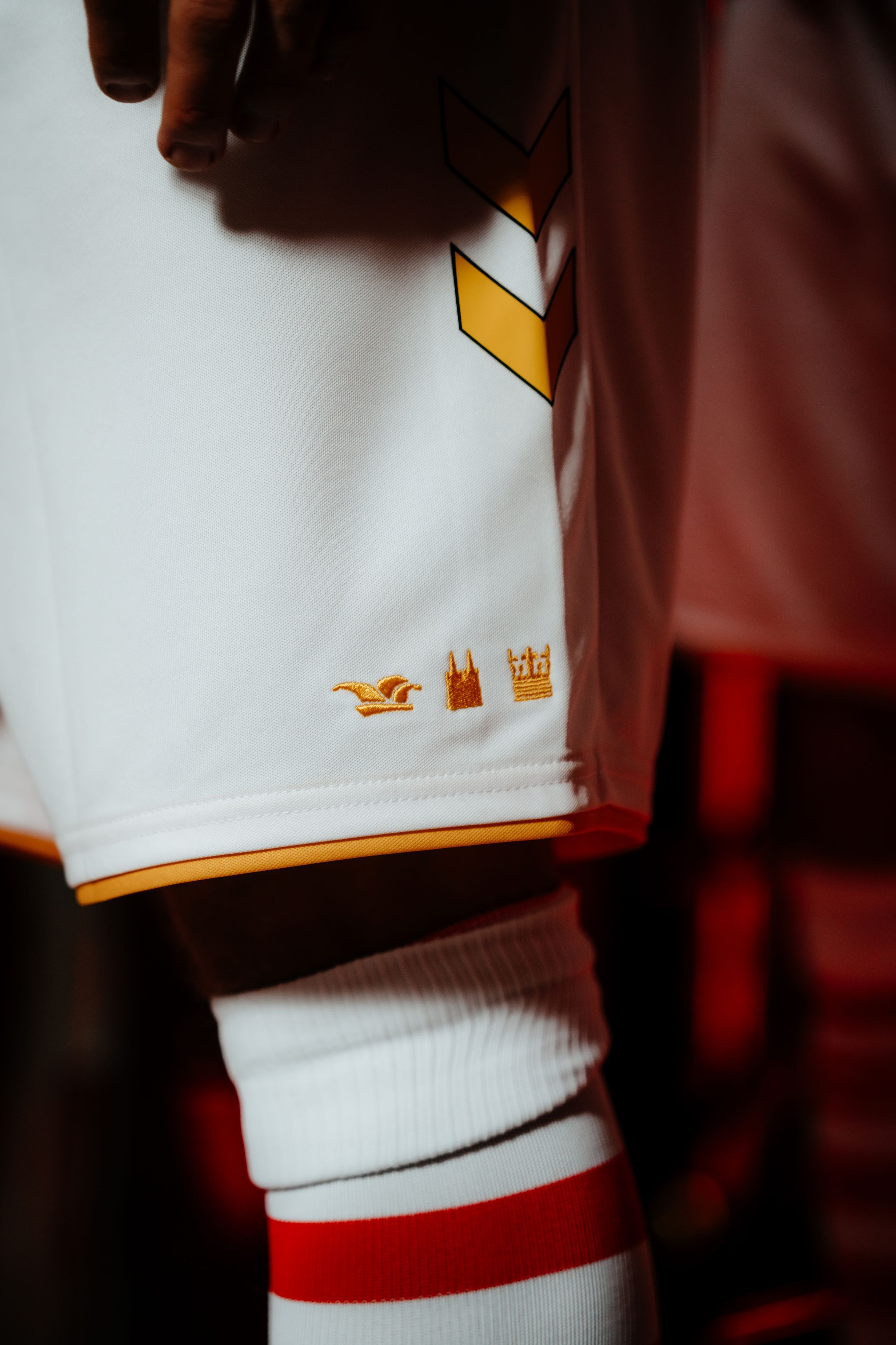 Dit is het FC Köln carnavalsshirt 2025-2026