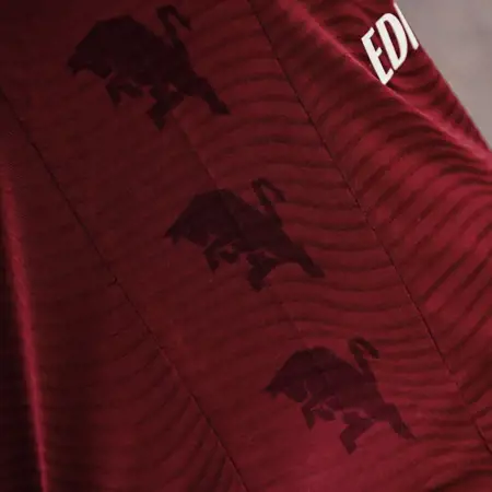 Torino FC voetbalshirts 2023-2024